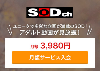 SOD_DMM_getugaku1